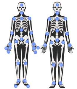 Reduced Skeleton Representation for Action Recognition on Graph Convolutional Neural Networks preview