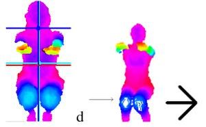Evaluation Of Physical Therapy Through Analysis Of Depth Images preview