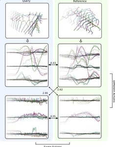 SL-DML: Signal Level Deep Metric Learning for Multimodal One-Shot Action Recognition preview